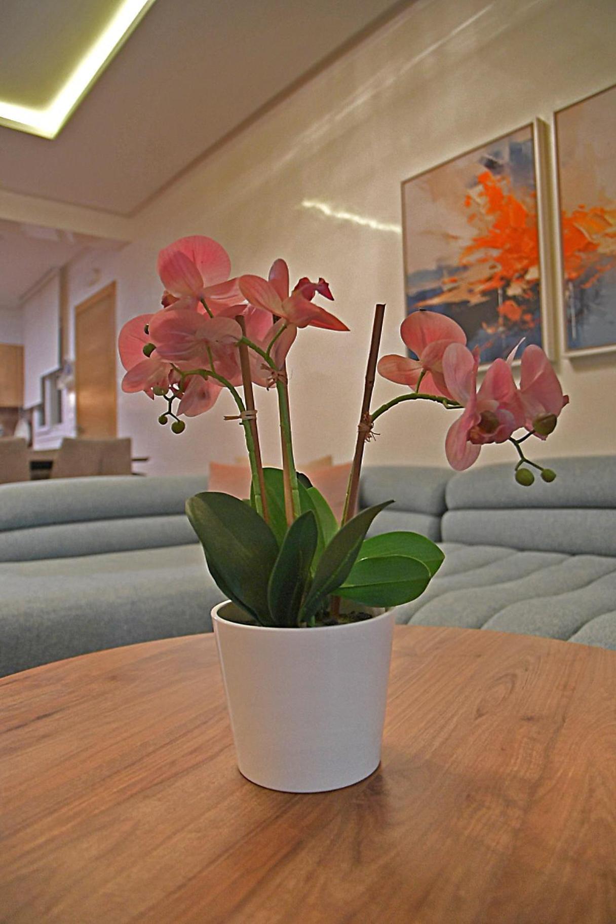 Inhome Apartment 카보 네그로 외부 사진
